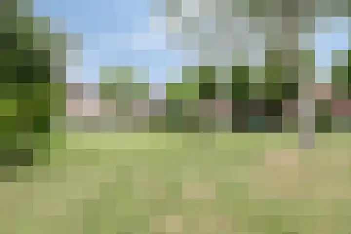 Distel 7 Best thumbnail 34