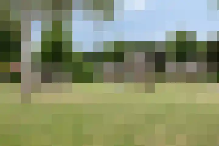 Distel 7 Best thumbnail 35