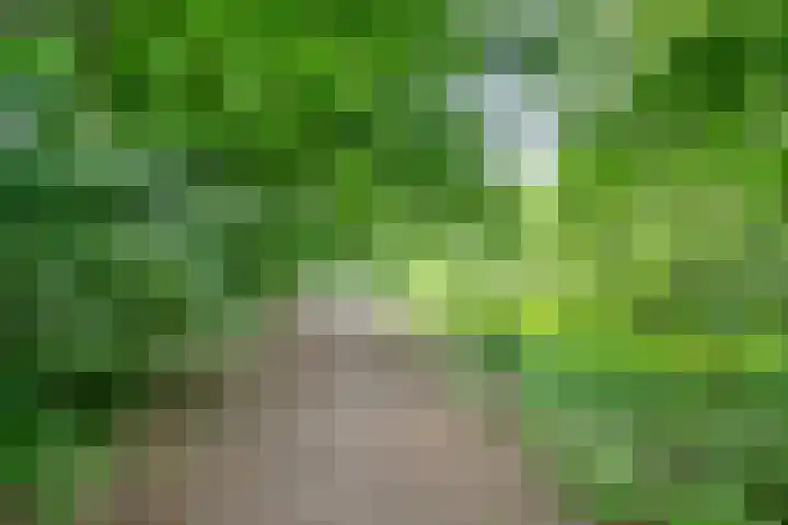 Distel 7 Best thumbnail 36