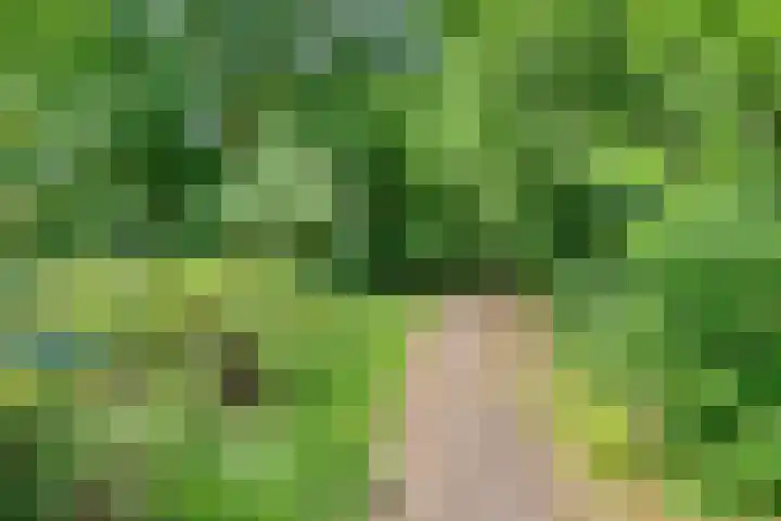 Distel 7 Best thumbnail 37