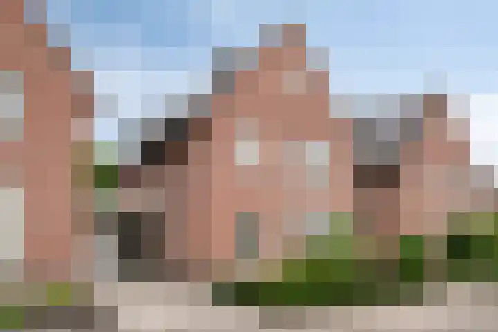 Distel 7 Best thumbnail 38