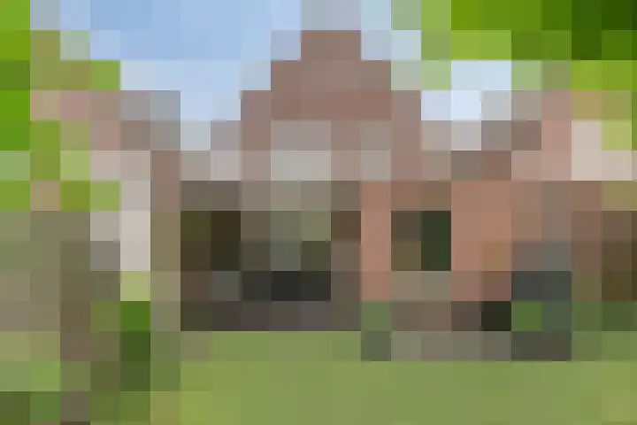 Distel 7 Best thumbnail 39