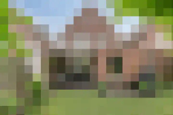 Distel 7 Best thumbnail 5