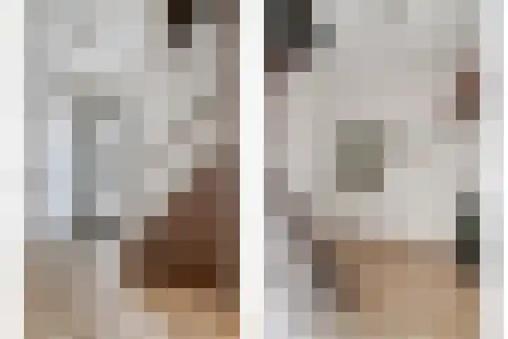 Distel 7 Best thumbnail 6