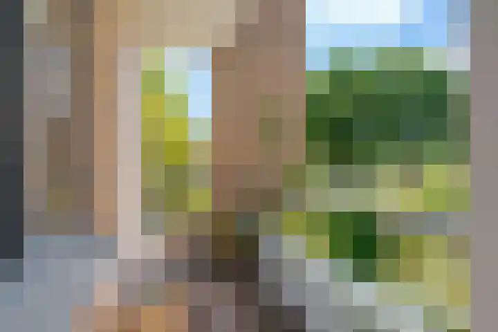 Distelhoeve 72 Hattem thumbnail 4