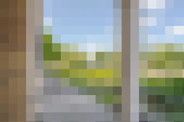 Distelhoeve 72 Hattem thumbnail 44