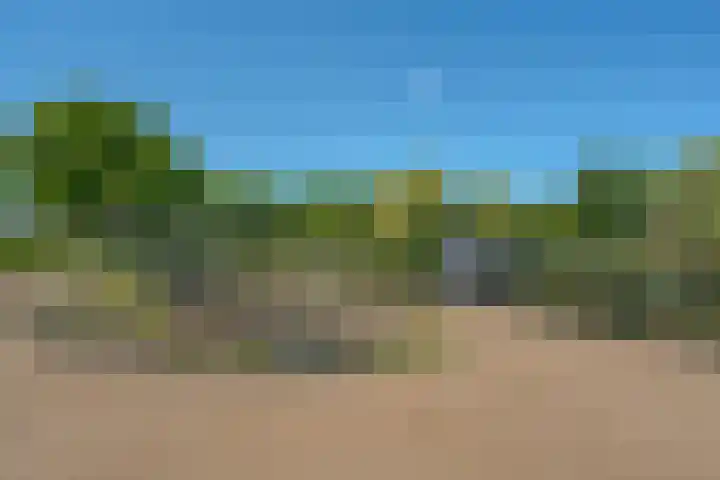 Distelhoeve 72 Hattem thumbnail 5