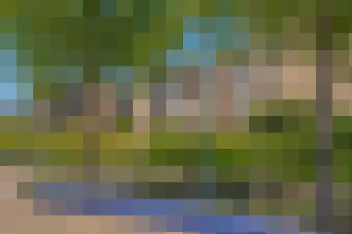 Distelhoeve 72 Hattem thumbnail 7