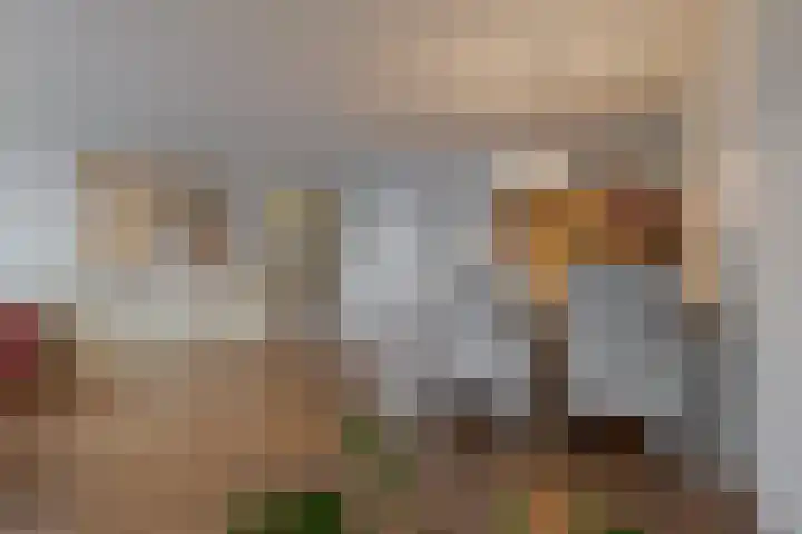 Distelhoeve 94 Hattem thumbnail 14