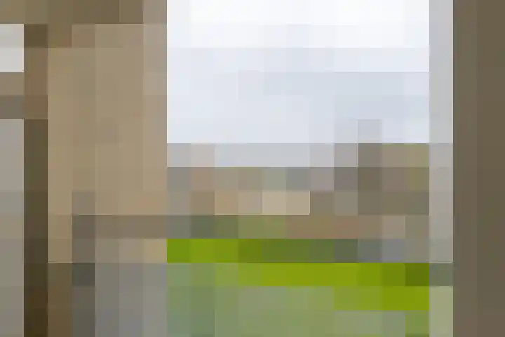 Distelhoeve 94 Hattem thumbnail 4