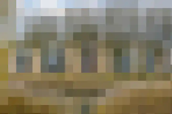 Distelhoeve 94 Hattem thumbnail 5