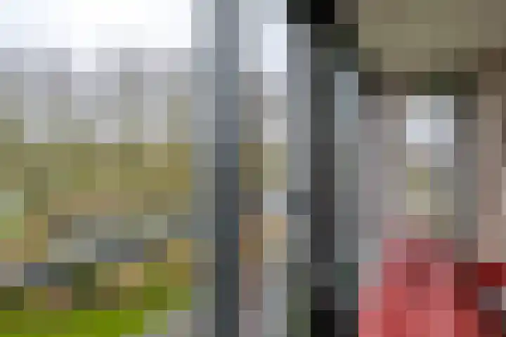 Distelhoeve 94 Hattem thumbnail 8