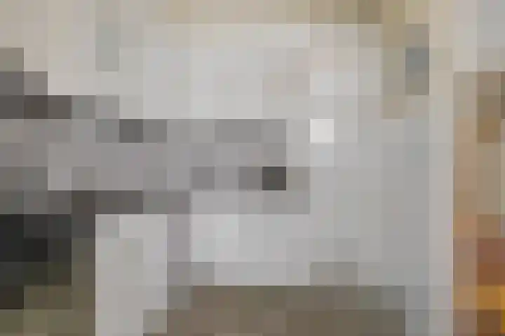 Distellaar 103 Veghel thumbnail 11