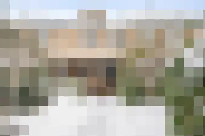 Distellaar 103 Veghel thumbnail 26