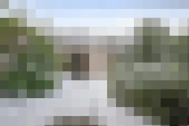 Distellaar 103 Veghel thumbnail 27