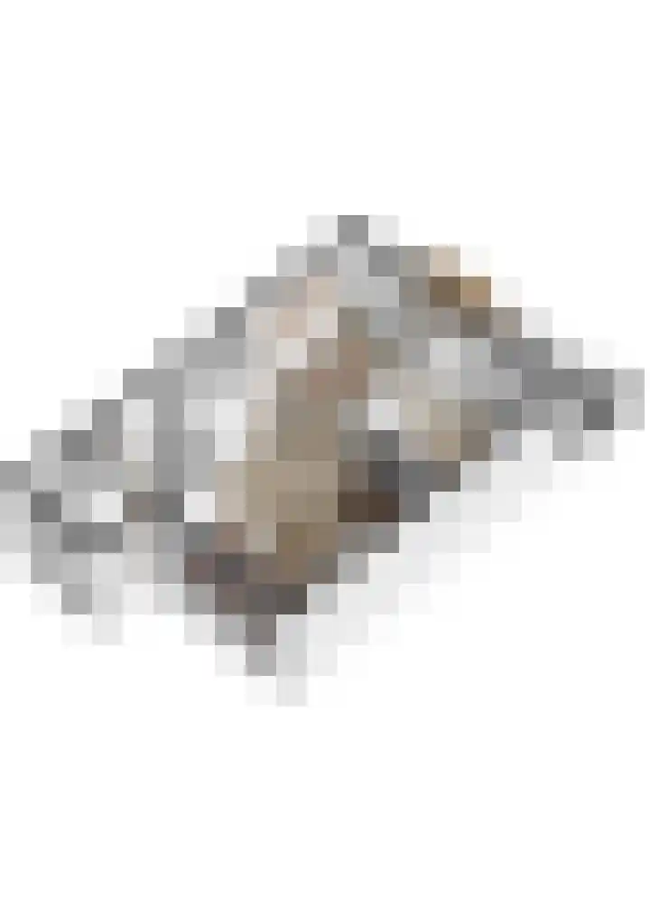 Distellaar 103 Veghel thumbnail 35