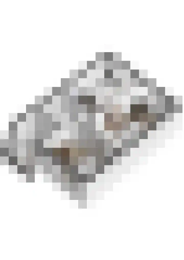 Distellaar 103 Veghel thumbnail 36