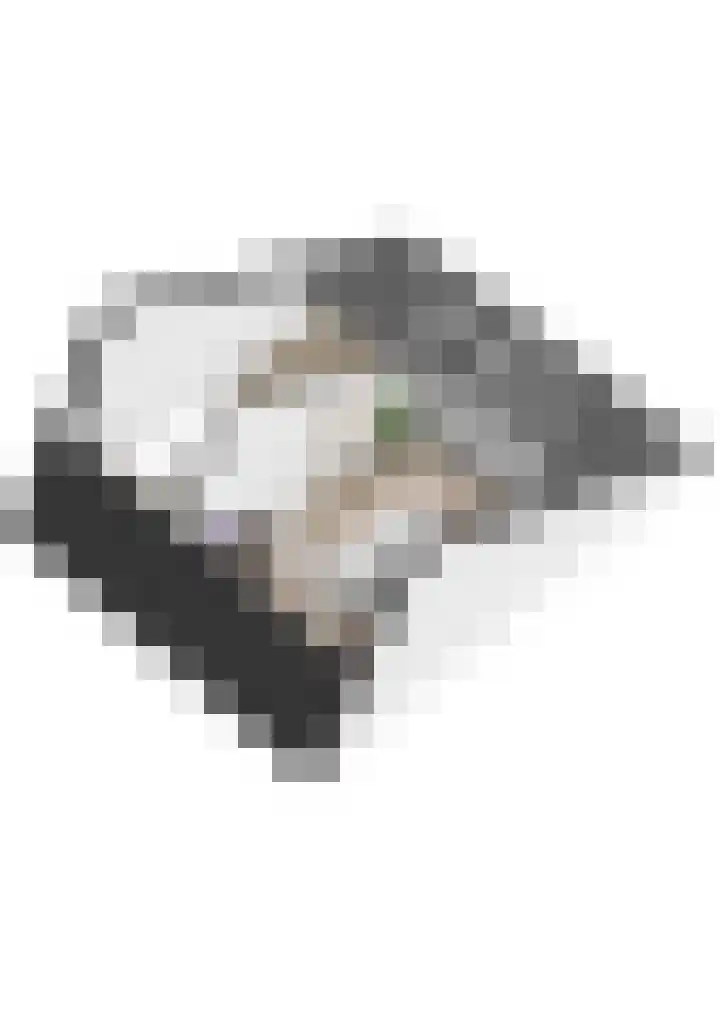 Distellaar 103 Veghel thumbnail 37