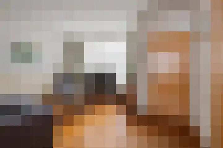Distellaar 103 Veghel thumbnail 7