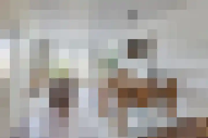 Distellaar 37 Veghel thumbnail 11