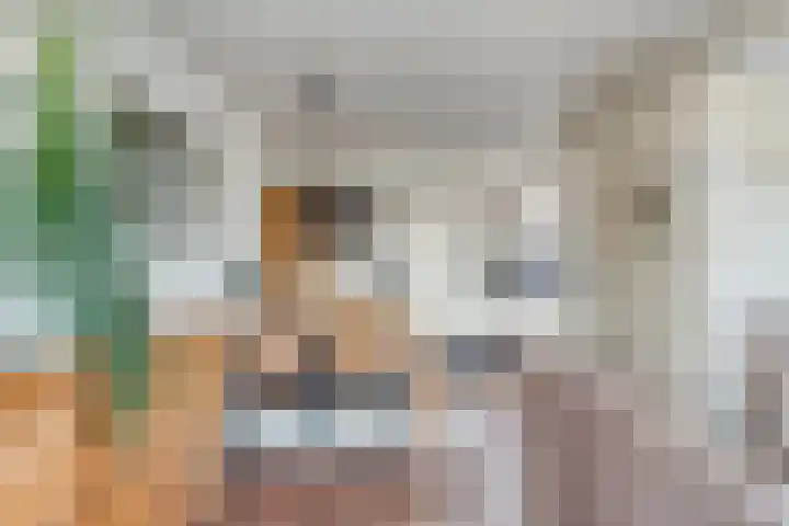 Distellaar 37 Veghel thumbnail 12