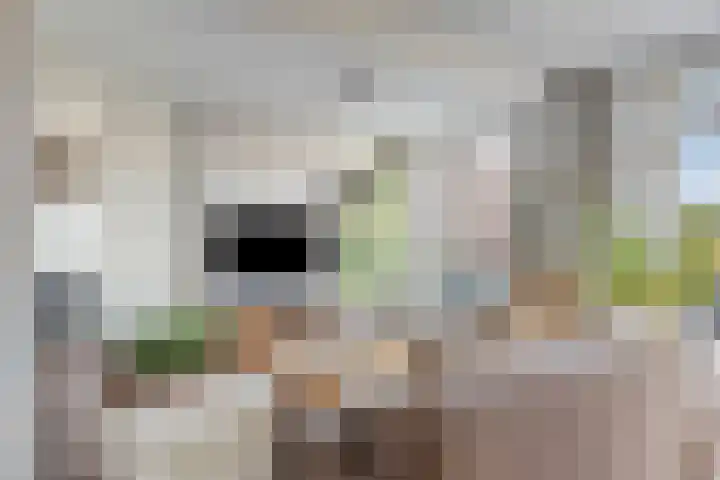 Distellaar 37 Veghel thumbnail 13