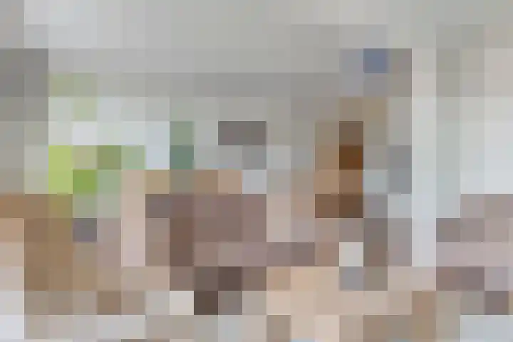 Distellaar 37 Veghel thumbnail 14