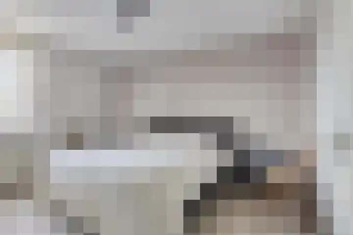 Distellaar 37 Veghel thumbnail 18