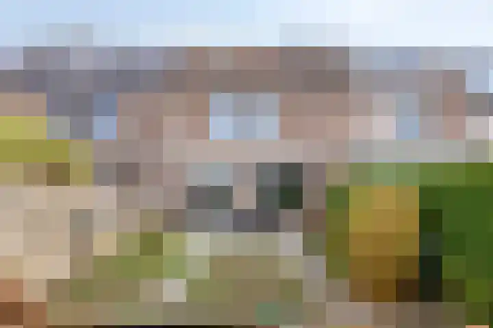 Distellaar 37 Veghel thumbnail 25