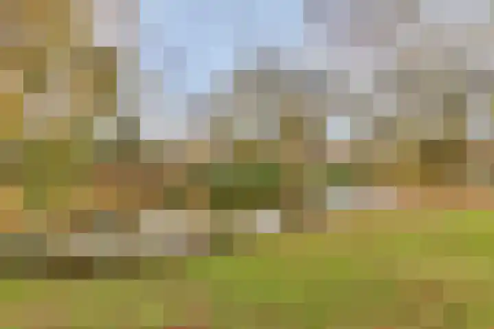 Distellaar 37 Veghel thumbnail 32