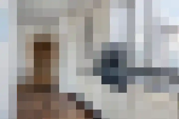 Distellaar 37 Veghel thumbnail 9