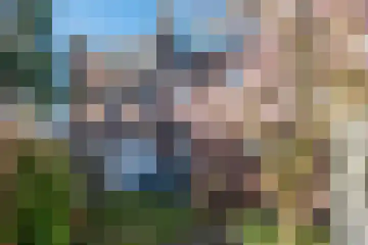Distelstraat 25 Eindhoven thumbnail 37
