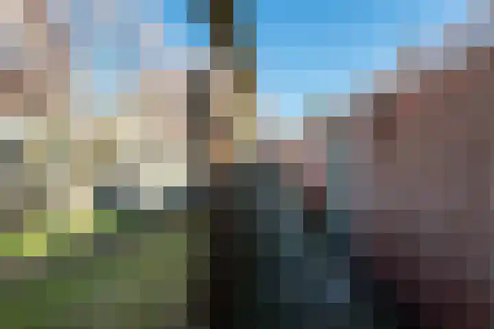 Distelstraat 25 Eindhoven thumbnail 38