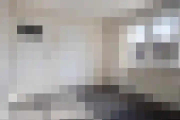Distelstraat 30 Emmeloord thumbnail 18