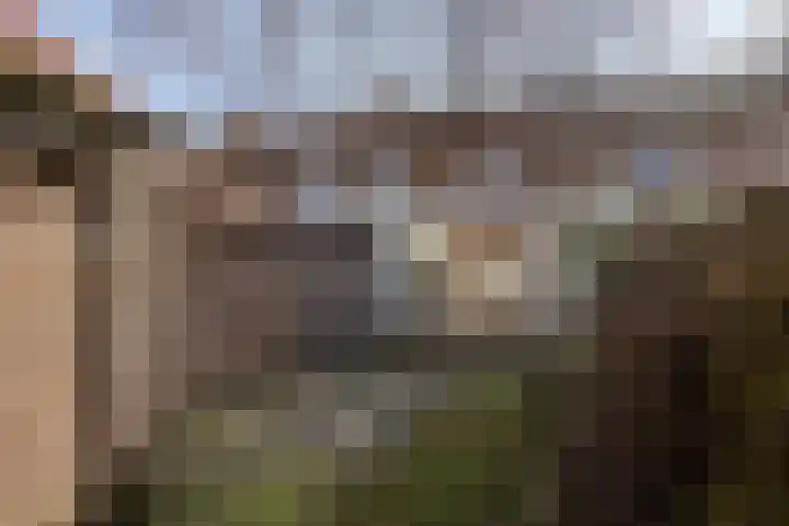 Distelstraat 30 Emmeloord thumbnail 31