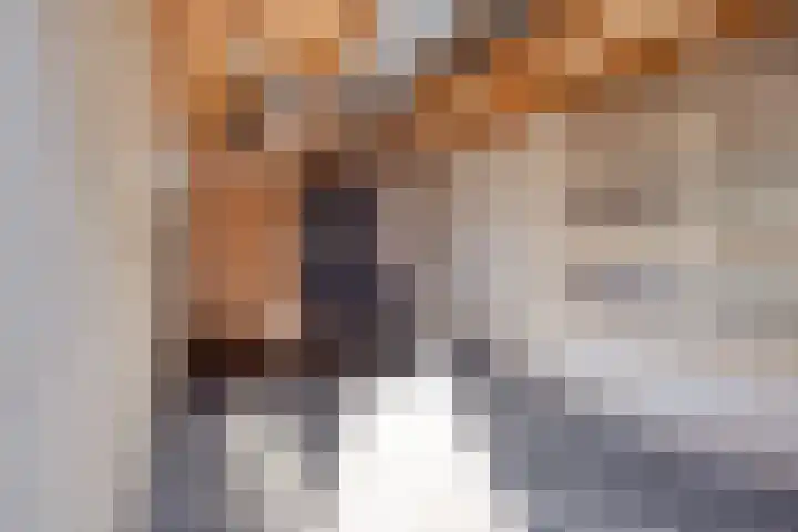 Distelstraat 30 Emmeloord thumbnail 33