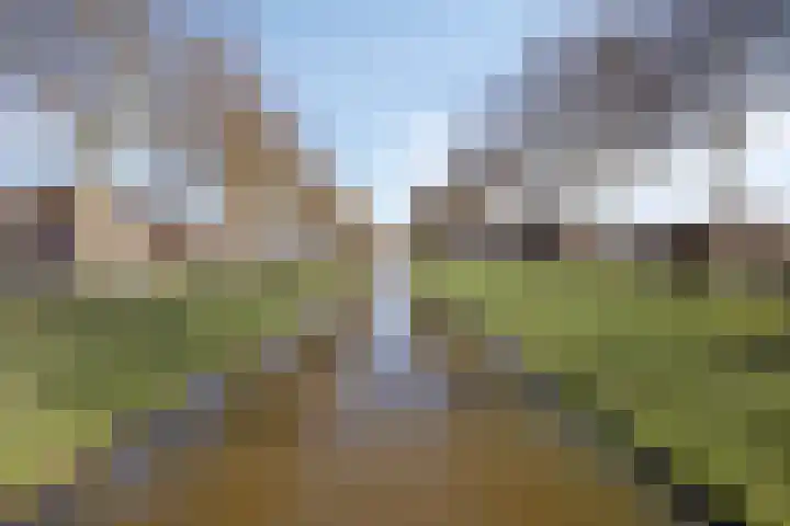 Distelstraat 30 Emmeloord thumbnail 36