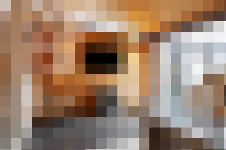 Distelstraat 32 Emmeloord thumbnail 34