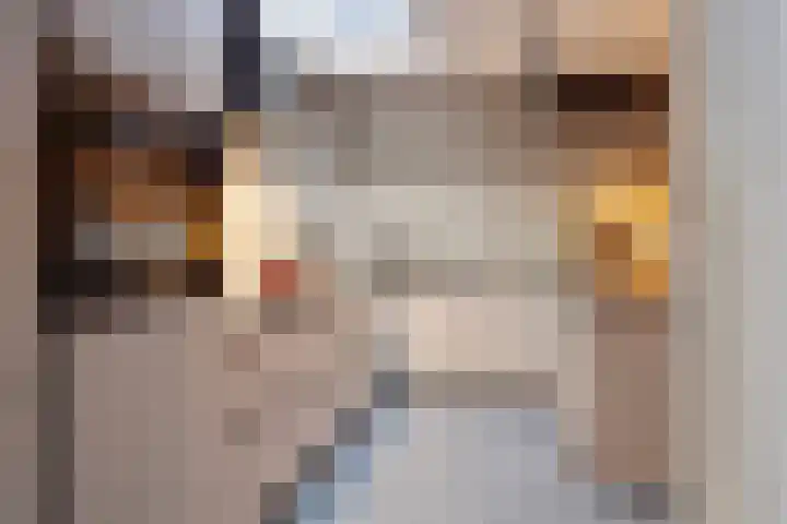 Distelstraat 32 Emmeloord thumbnail 9
