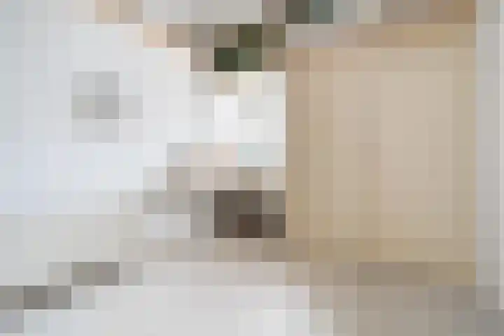 Distelveld 12 Bavel thumbnail 15