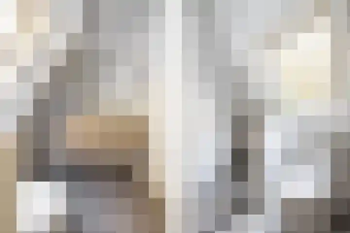 Distelveld 12 Bavel thumbnail 17