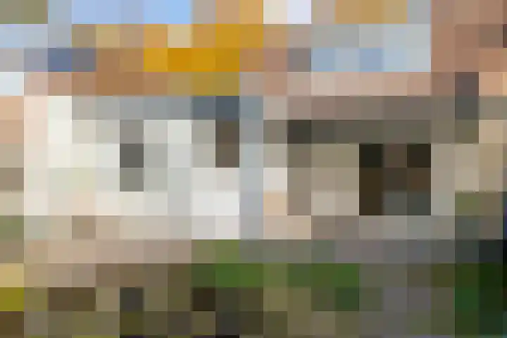 Distelveld 12 Bavel thumbnail 18