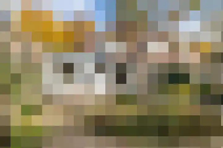 Distelveld 12 Bavel thumbnail 19