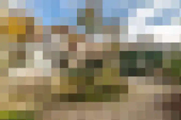 Distelveld 12 Bavel thumbnail 20