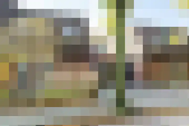 Distelveld 12 Bavel thumbnail 25