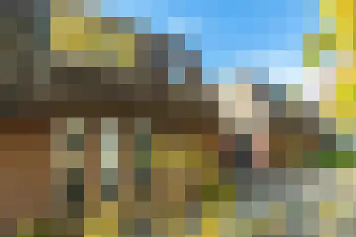 Distelveld 12 Bavel thumbnail 26