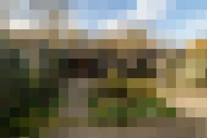 Distelveld 12 Bavel thumbnail 4