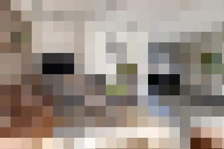 Distelveld 16 Waddinxveen thumbnail 15