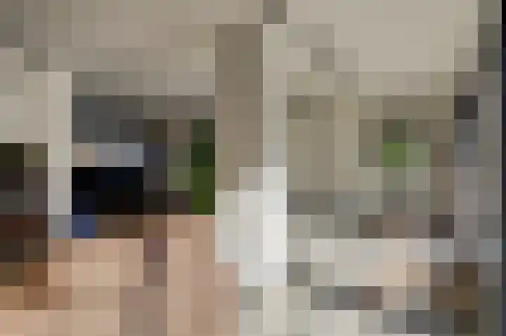 Distelveld 16 Waddinxveen thumbnail 17