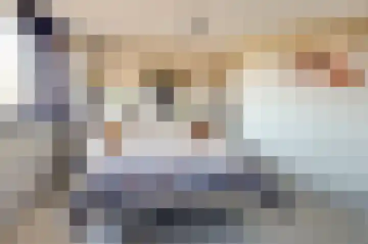 Distelveld 16 Waddinxveen thumbnail 38